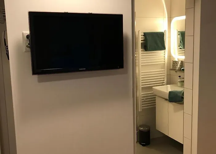 Apartment Kleine Feine Gmunden